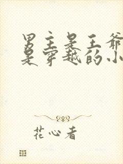 男主是王爷女主是穿越的小说