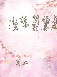 小说 闪婚厚爱:墨少宠妻成瘾