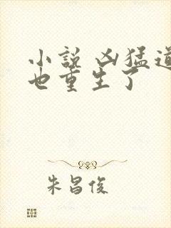 小说 凶猛道侣也重生了