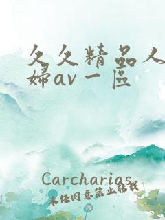 久久精品人妻少妇av一区