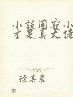 小说团宠小师妹才是真大佬免费阅读