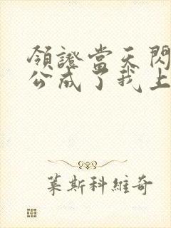 领证当天闪婚老公成了我上司小说