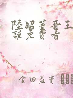 陆昭菱晋王的小说免费看