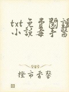 txt免费阅读小说毒手医妃王爷被休夫了