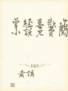 曾经喜欢你的我小说免费阅读