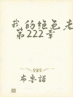 我的绝色老板娘 第222章