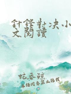 针锋对决小说全文阅读