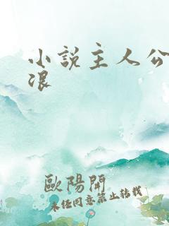 小说主人公叫沈浪