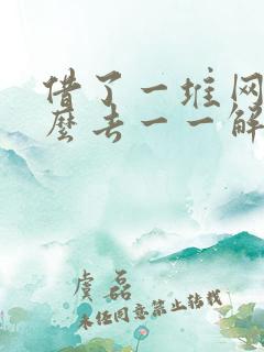 借了一堆网贷怎么去一一解决比较好