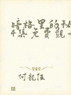 暗格里的秘密24集免费观看