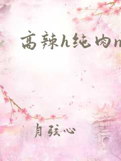 高辣h纯肉np