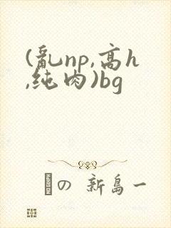 (乱np,高h,纯肉)bg