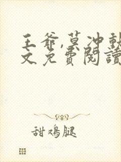 王爷,莫冲动全文免费阅读