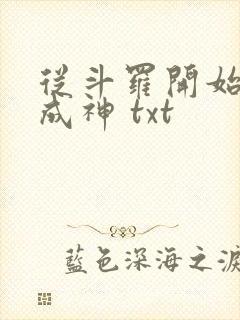 从斗罗开始逆天成神 txt