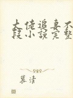 大佬追妻不择手段小说完整版