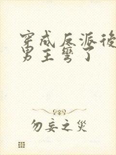 穿成反派后种马男主弯了