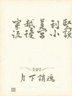 穿越美利坚之风流后宫小说