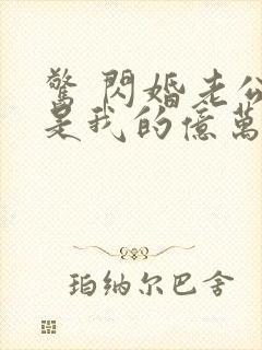 惊 闪婚老公竟是我的亿万总裁