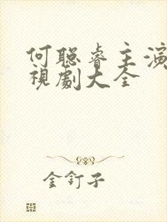 何聪睿主演的电视剧大全