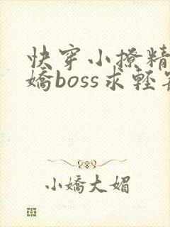 快穿小撩精:病娇boss求轻宠txt下载