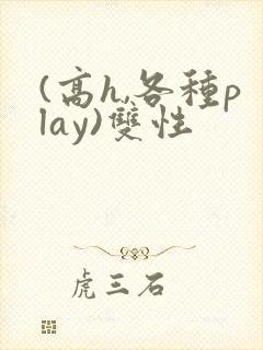 (高h,各种play)双性