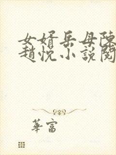 女婿岳母陈超,赵悦小说阅读全文