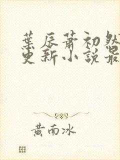 叶辰萧初然最快更新小说最新章节