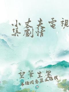 小丈夫电视剧分集剧情