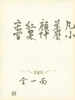 宋红颜叶凡唐若雪是什么小说