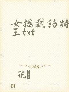 女总裁的特战兵王txt