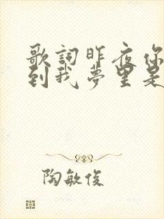 歌词昨夜你又来到我梦里是什么歌