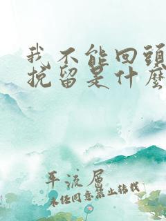 我不能回头不能挽留是什么歌