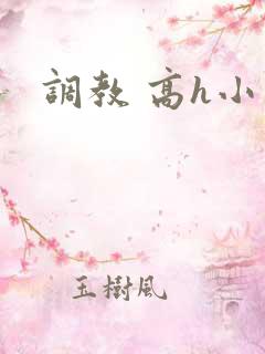 调教 高h小说