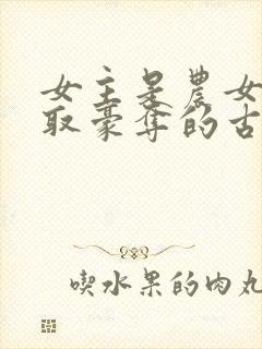 女主是农女被强取豪夺的古言