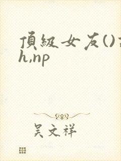 顶级女友()高h,np