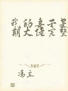 我的妻子是大乘期大佬完整版下载