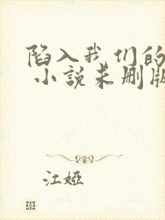 陷入我们的热恋 小说未删版下载