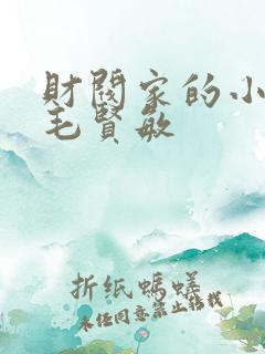 财阀家的小儿子毛贤敏