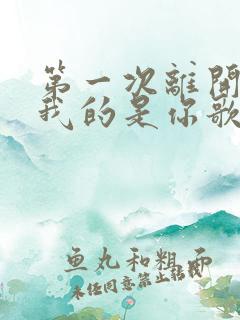 第一次离开家送我的是你歌曲原唱