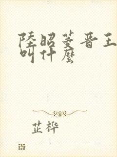 陆昭菱晋王小说叫什么