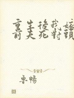 重生后我嫁给了前夫死对头小说