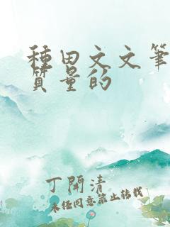 种田文文笔好高质量的