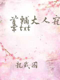 首辅大人宠妻日常txt