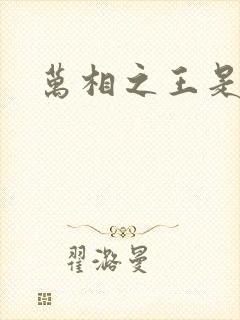 万相之王是什么