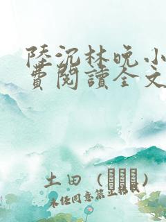 陆沉林晚小说免费阅读全文最新章节