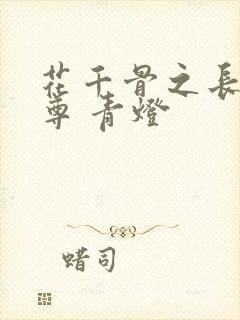 花千骨之长留童尊 青灯