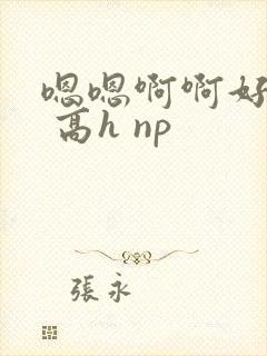 嗯嗯啊啊好爽啊 高h np