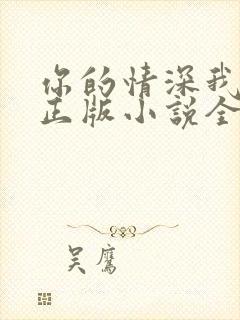 你的情深我不配正版小说全文免费阅读