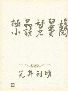 极品好儿媳老秦小说免费阅读