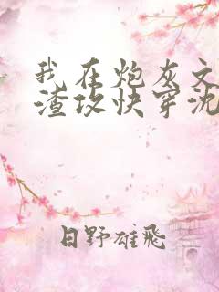 我在炮灰文里当渣攻快穿沈年